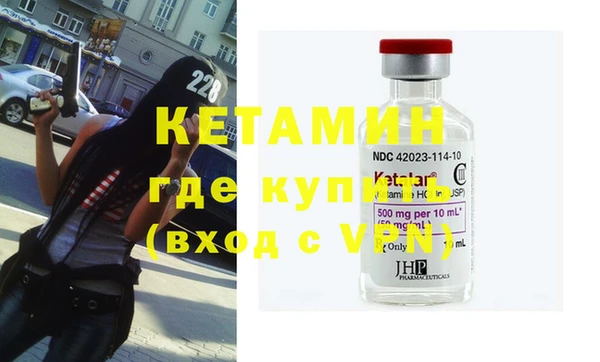 шишки Белокуриха