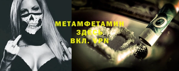 шишки Белокуриха