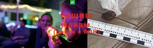 шишки Белокуриха