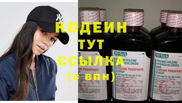 шишки Белокуриха