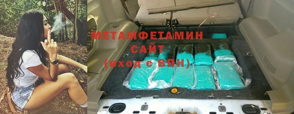 шишки Белокуриха