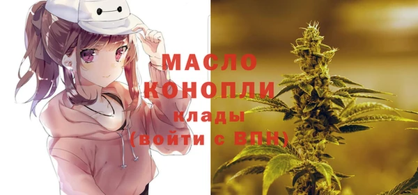 шишки Белокуриха